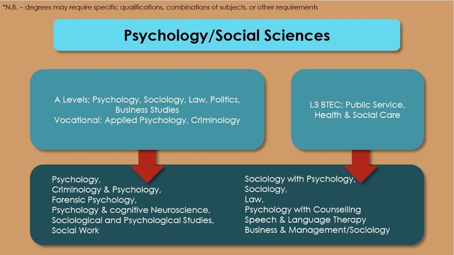Psychology and social sciences