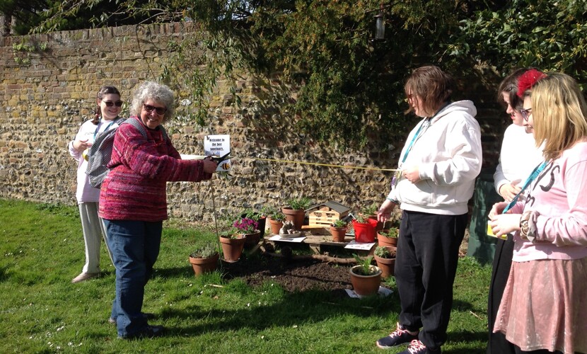 Students Create a Buzz with New Bee Sanctuary